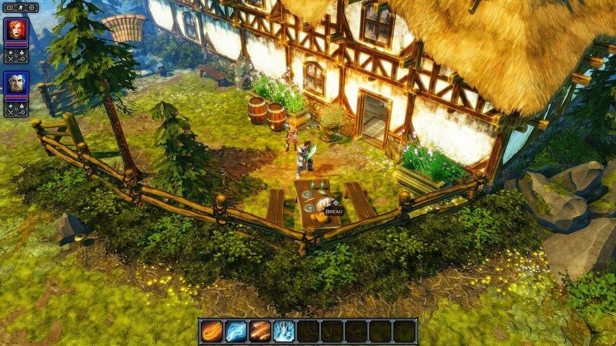 Screenshots from Divinity: Original Sin / Image 8