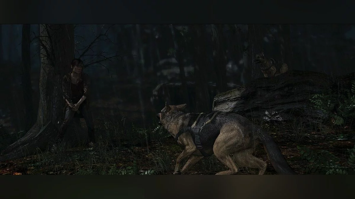 Screenshots from Beyond: Two Souls / Image 8