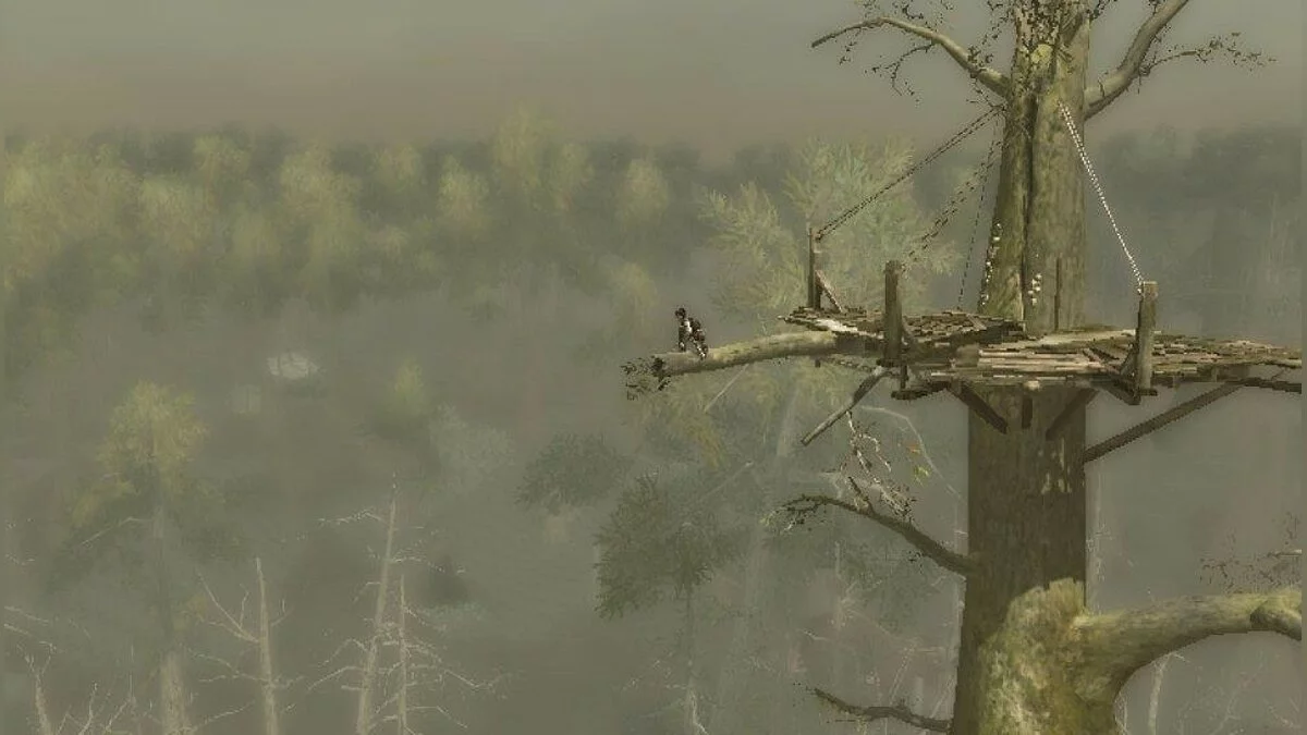 Скріншоти з Assassin's Creed 3: Liberation / Зображення 88