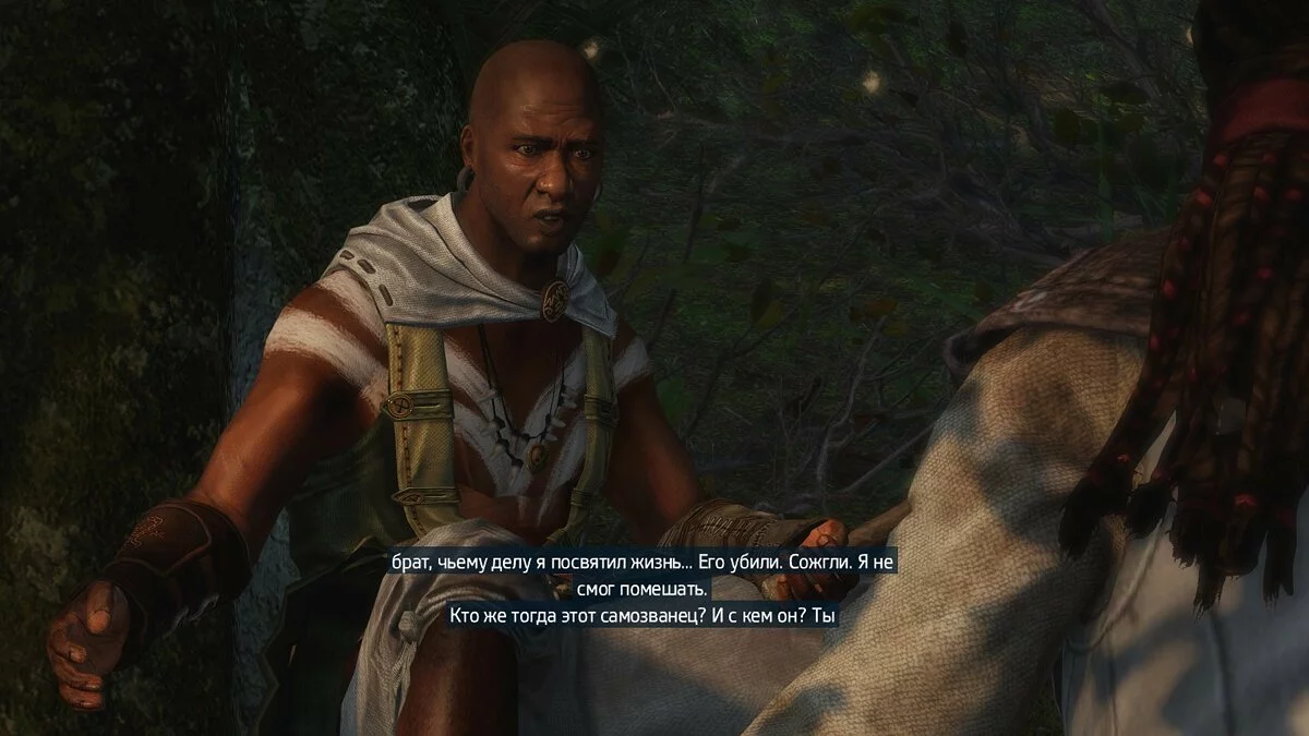 Скріншоти з Assassin's Creed 3: Liberation / Зображення 112