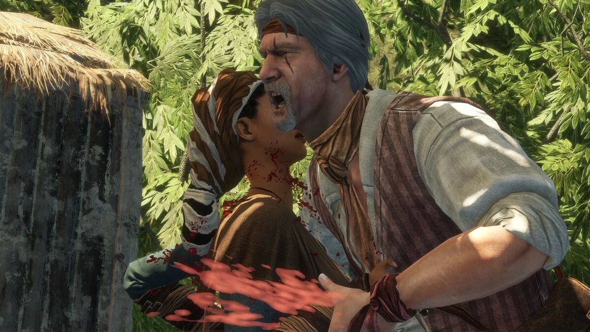 Скріншоти з Assassin's Creed 3: Liberation / Зображення 123