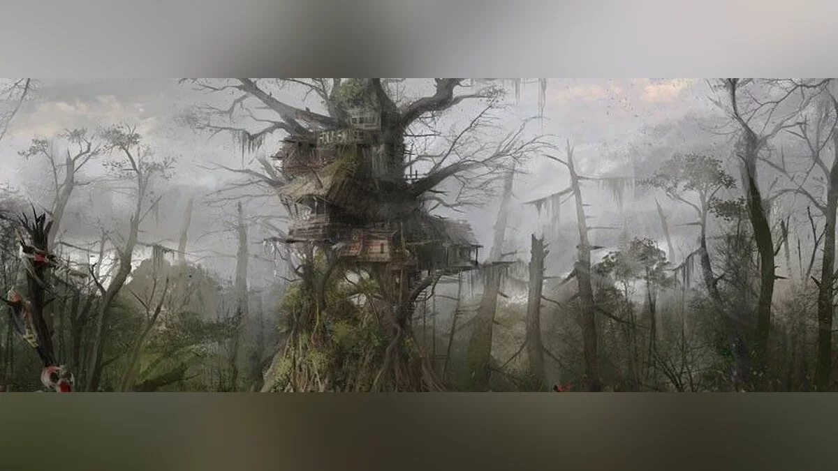 Скріншоти з Assassin's Creed 3: Liberation / Зображення 11