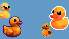 Ducks