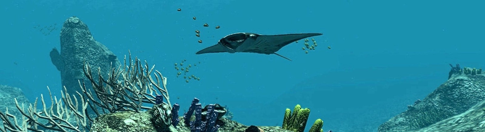 Depth Hunter - bu oyun nedir, tanıtım filmi, sistem gereksinimleri, yorumlar ve puanlar, fiyatlar ve indirimler, rehberler ve geçiş, benzer oyunlar 