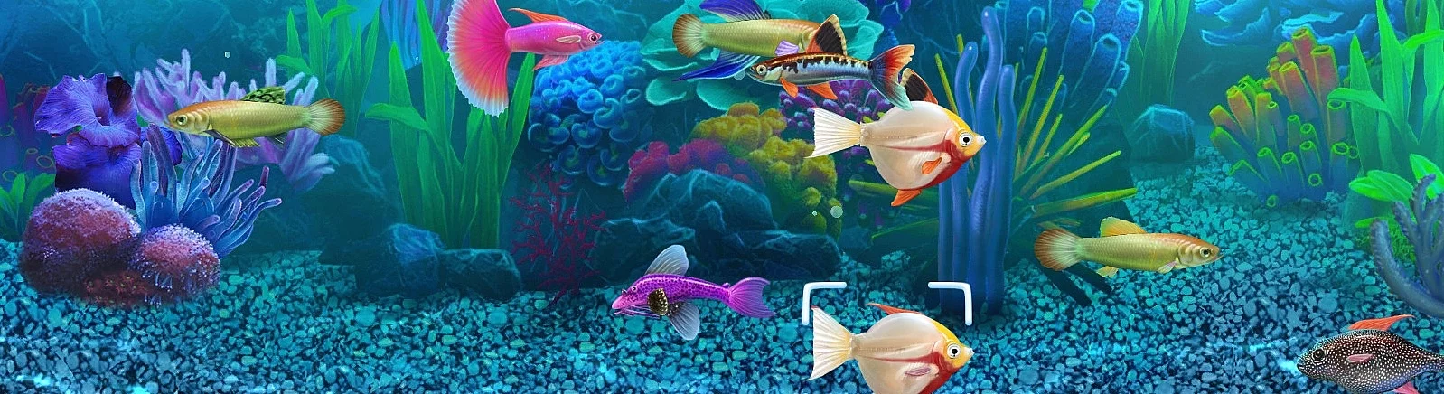 Fish Tycoon - kaj je ta igra, napovednik, sistemske zahteve, ocene in mnenja, cene in popusti, vodiči in prehodi, podobne igre 
