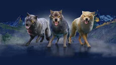 Wolf - juego del género Vista superior