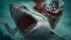 Shark Attack! is similar to Shark Attack!