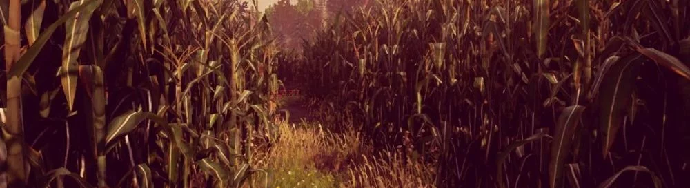 Avis sur Maize de la part de Neominiga