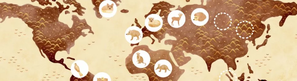 Under Leaves - o que é este jogo, trailer, requisitos do sistema, avaliações e notas, preços e descontos, guias e walkthrough, jogos semelhantes 