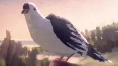 You Must be 18 or Older to Enter ressemble à You Must be 18 or Older to Enter