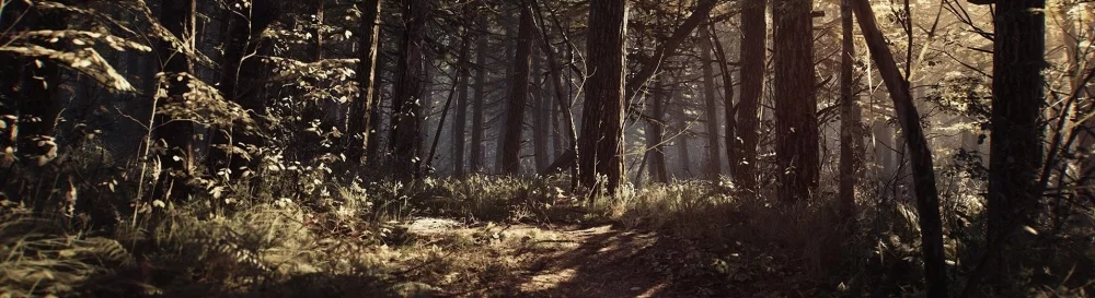 Acheter Blair Witch pas cher, réductions jusqu'à 90% 🏷️, comparaison des prix dans différents magasins