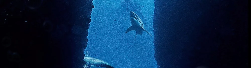 Submersed - bu oyun nedir, ne zaman çıkacak, fragman ve videolar, sistem gereksinimleri, resimler, fiyat, benzer oyunlar 