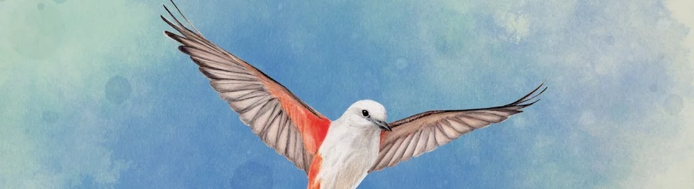 Reseñas mixtas sobre WINGSPAN — 0 opiniones