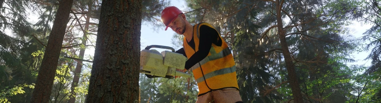 Forester Simulator - apa permainan ini, kapan akan dirilis, trailer dan video, persyaratan sistem, gambar, harga, permainan serupa 