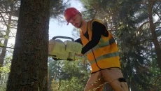 Bee Simulator mirip dengan Bee Simulator