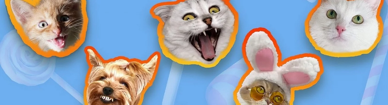 Candy Cat - qué tipo de juego es, tráiler, requisitos del sistema, reseñas y calificaciones, precios y descuentos, guías y walkthrough, juegos similares 