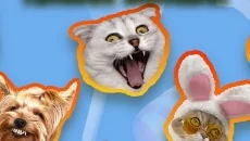 Dust: An Elysian Tail is similar to Dust: An Elysian Tail