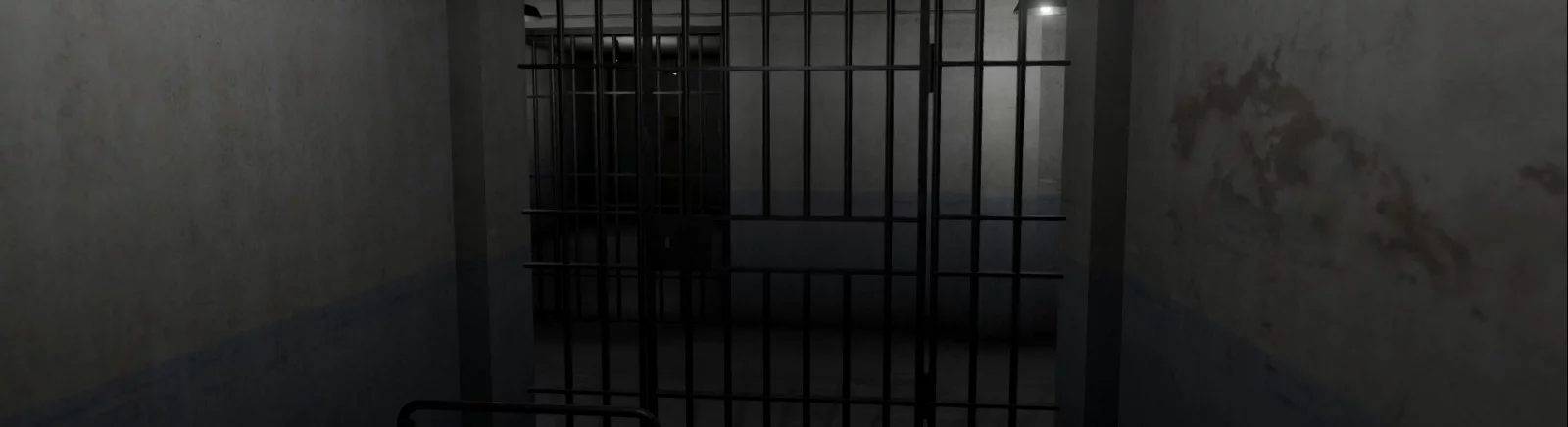 Prison Forever - All About the Game: trailer, system requirements, reviews and ratings, prices and discounts, guides and walkthrough, similar games 