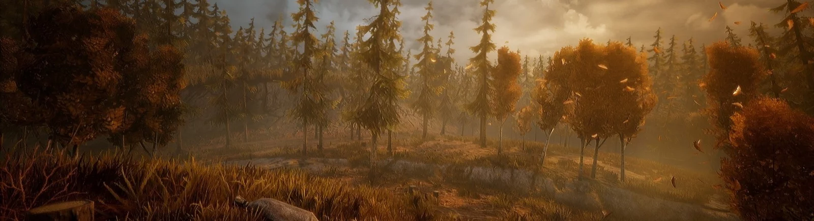 Wandering Wolf - qué tipo de juego es, cuándo saldrá, tráiler y videos, requisitos del sistema, imágenes, precio, juegos similares 