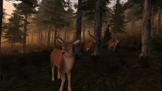Virtual Hunter
