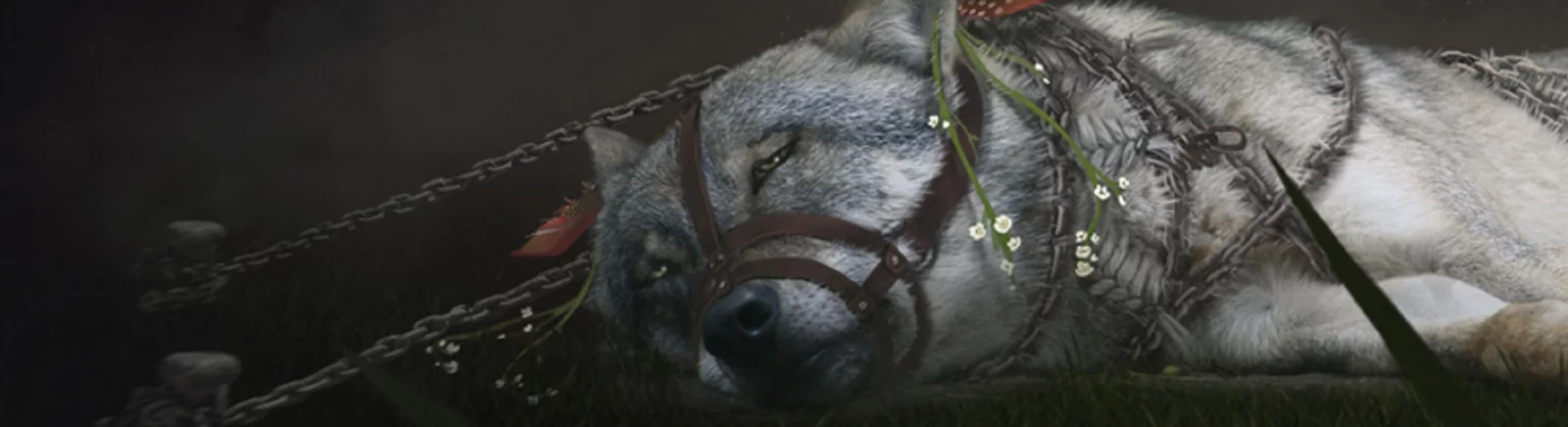 Soulframe — All About the Game: release date, trailer and videos, system requirements, images, price, similar games 