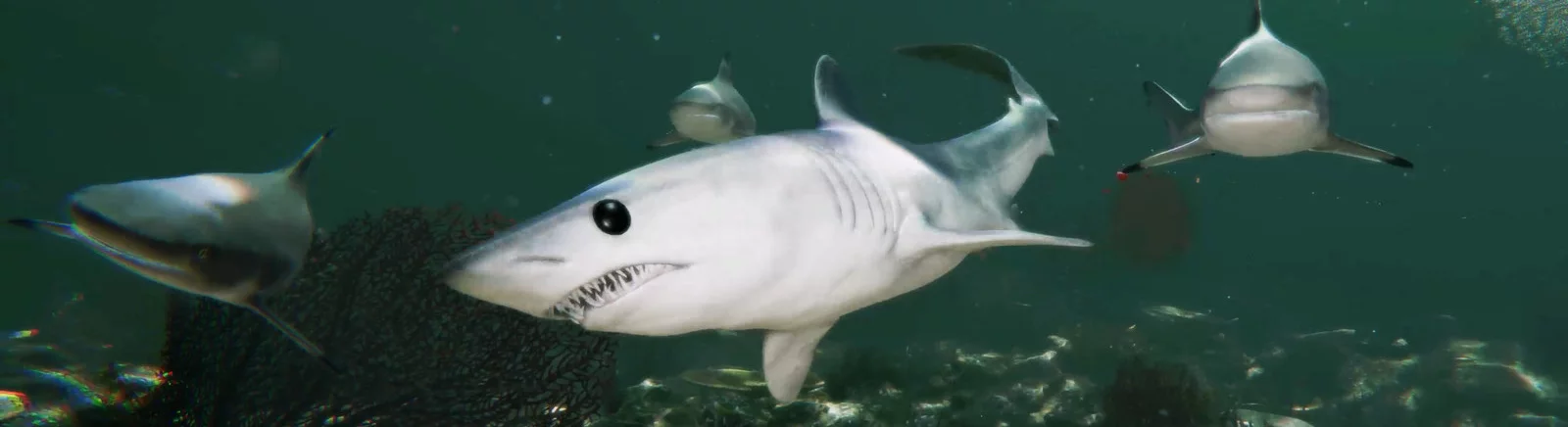 Cheats for Death in the Water 2