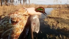 Hunting Simulator ressemble à Hunting Simulator