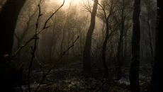 Lethal Company se parece a Lethal Company