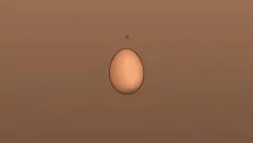 Egg