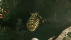 MOLD - a game in the Walking Simulator genre