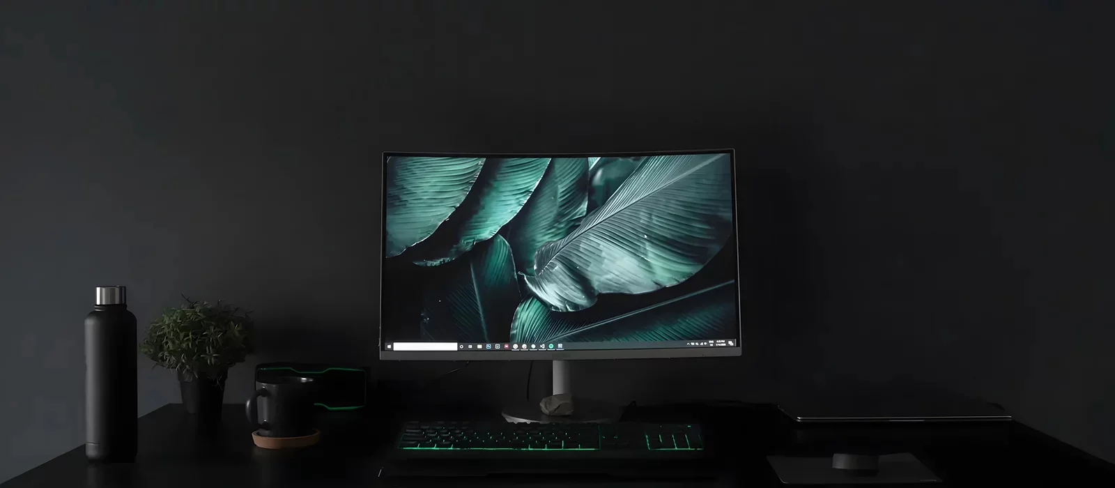 How to Choose a Monitor in 2024?