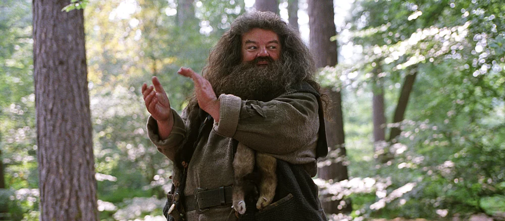 Laporan: Nick Frost akan Memperankan Hagrid dalam Seri 'Harry Potter'