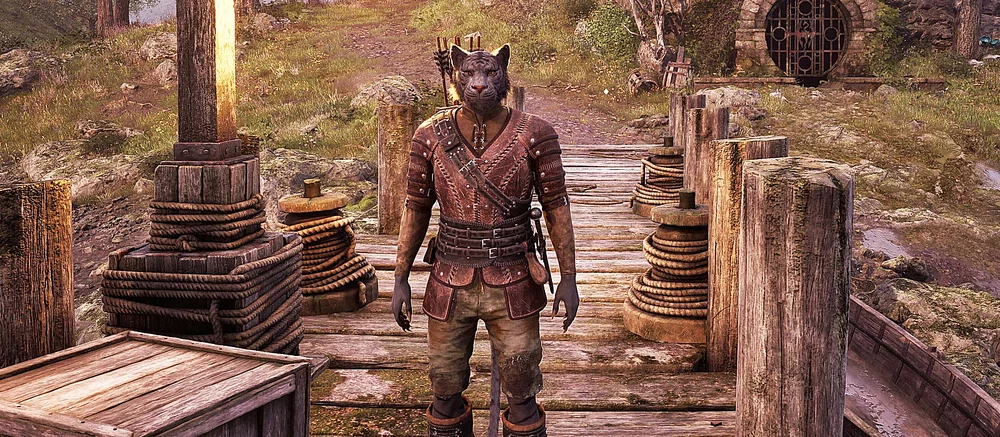 The Elder Scrolls 4: Oblivion Remastered Diuji di Steam Deck dan Perangkat Portabel Lainnya