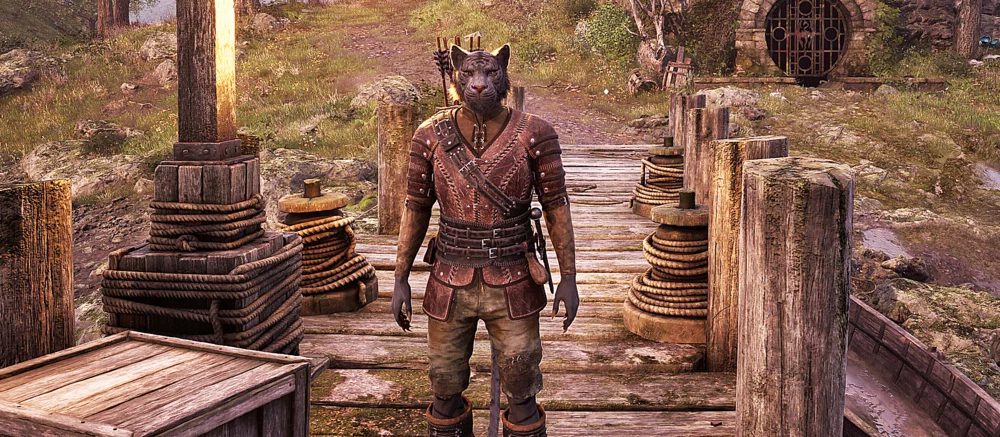 В мережі показали, як The Elder Scrolls 4: Oblivion Remastered працює на Steam Deck та інших портативках