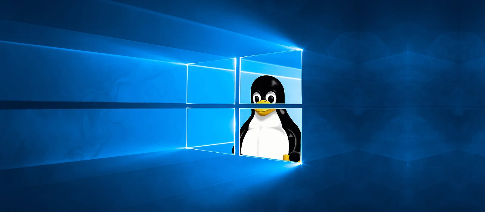 Valve lanza la versión beta de Proton 10.0 con soporte mejorado para juegos de Windows en Linux
