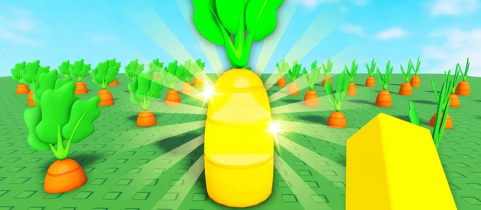 Cultiva un Jardín: Cómo Conseguir Frutas de Luna y Para Qué Se Usan — Guía Completa