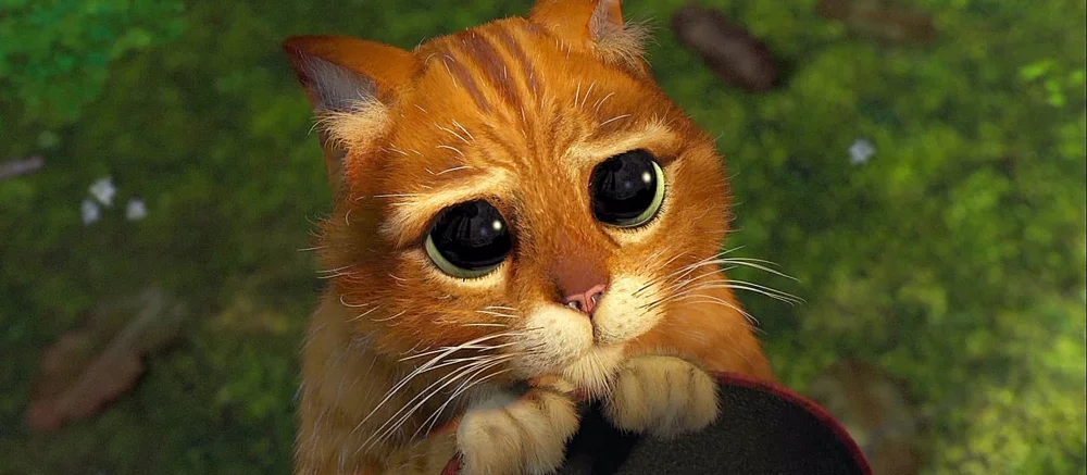 Чутка: Кота в чоботах не буде в «Шреку 5», але про нього можуть зняти новий мультик