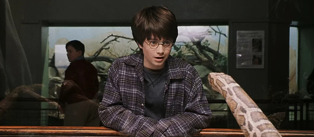 Hayvanat Bahçesi Manzarası: HBO'nun Harry Potter Dizisi Setinden İlk Fotoğraflar Ortaya Çıktı