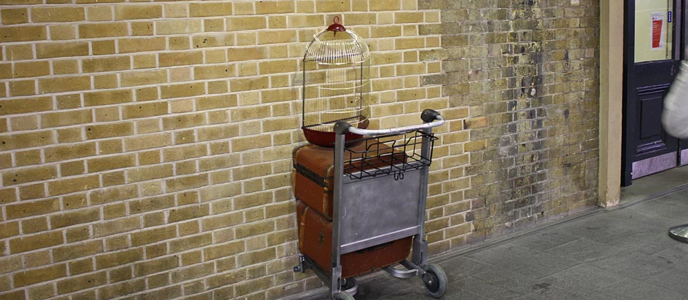 На нових фото зі зйомок «Гаррі Поттера» показали Рона, Джінні, Фреда, Джорджа та Моллі Візлі