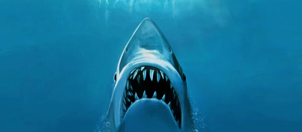 Стивен Кінг назвав особистий ТОП-10 улюблених фільмів. Деяким він не сподобався