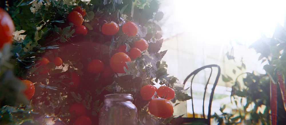 ARC Raiders przygotowuje pierwszą dużą aktualizację 'North Line': Nowa mapa, wydarzenia i zagrożenia