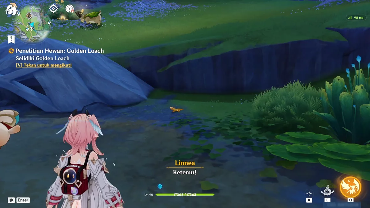 Axolotl