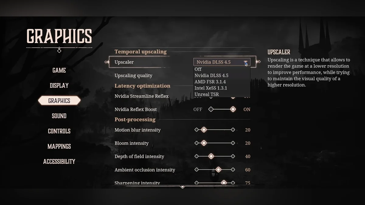 The third setting in the graphics menu