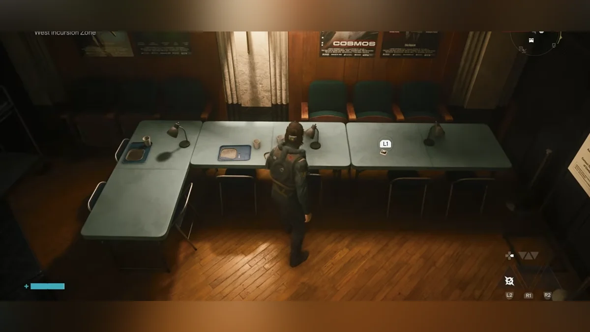 This is what the Instant Photos look like in the game