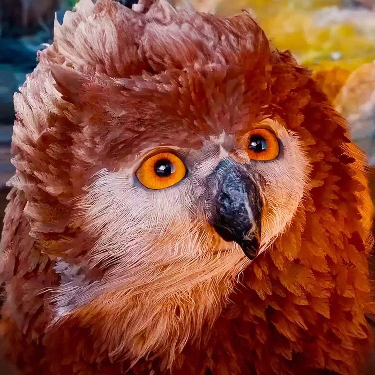 How to Save and Get the Owlbear Cub in Baldur's Gate 3