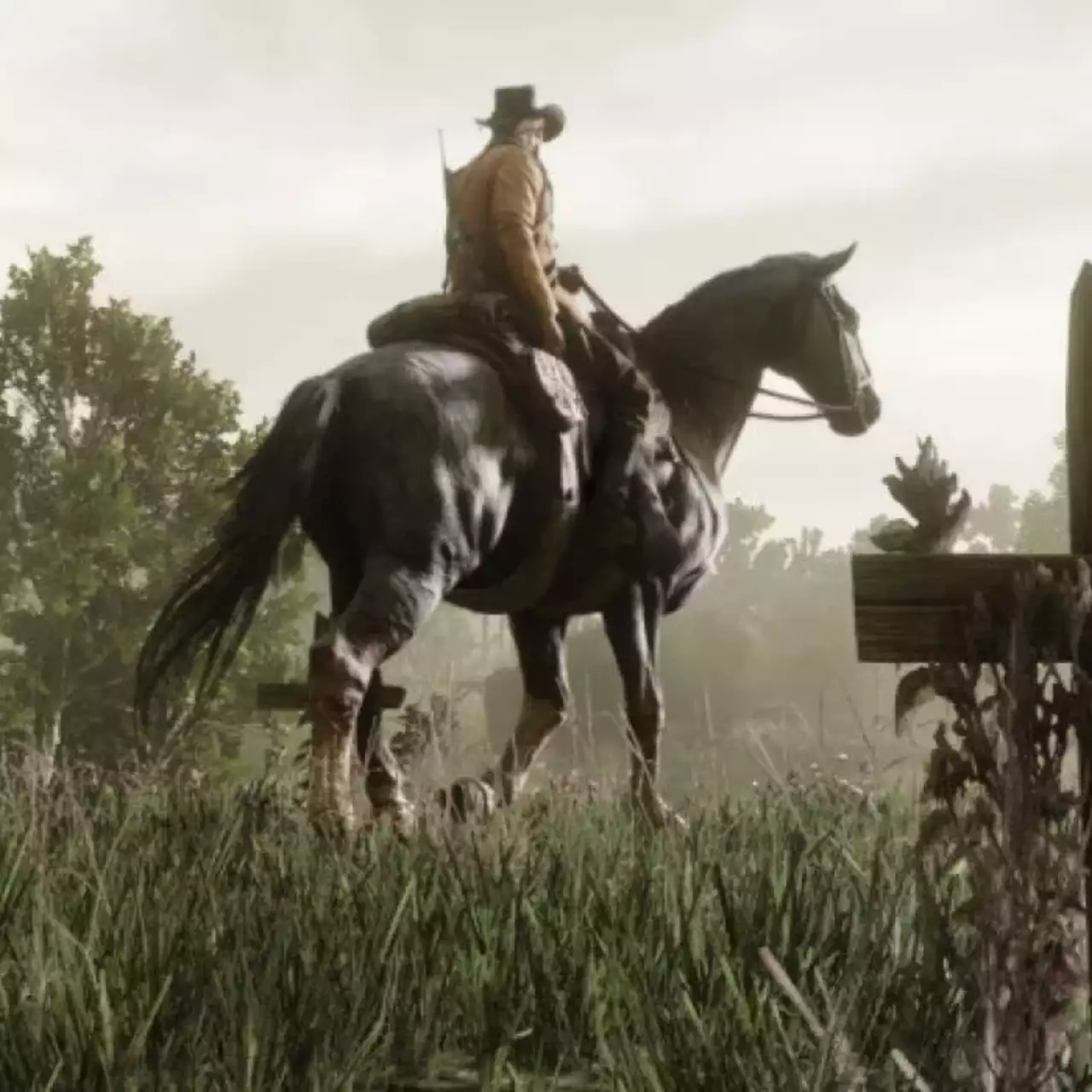 Dónde encontrar 30 huesos de dinosaurio en Red Dead Redemption 2 — Guía y mapa