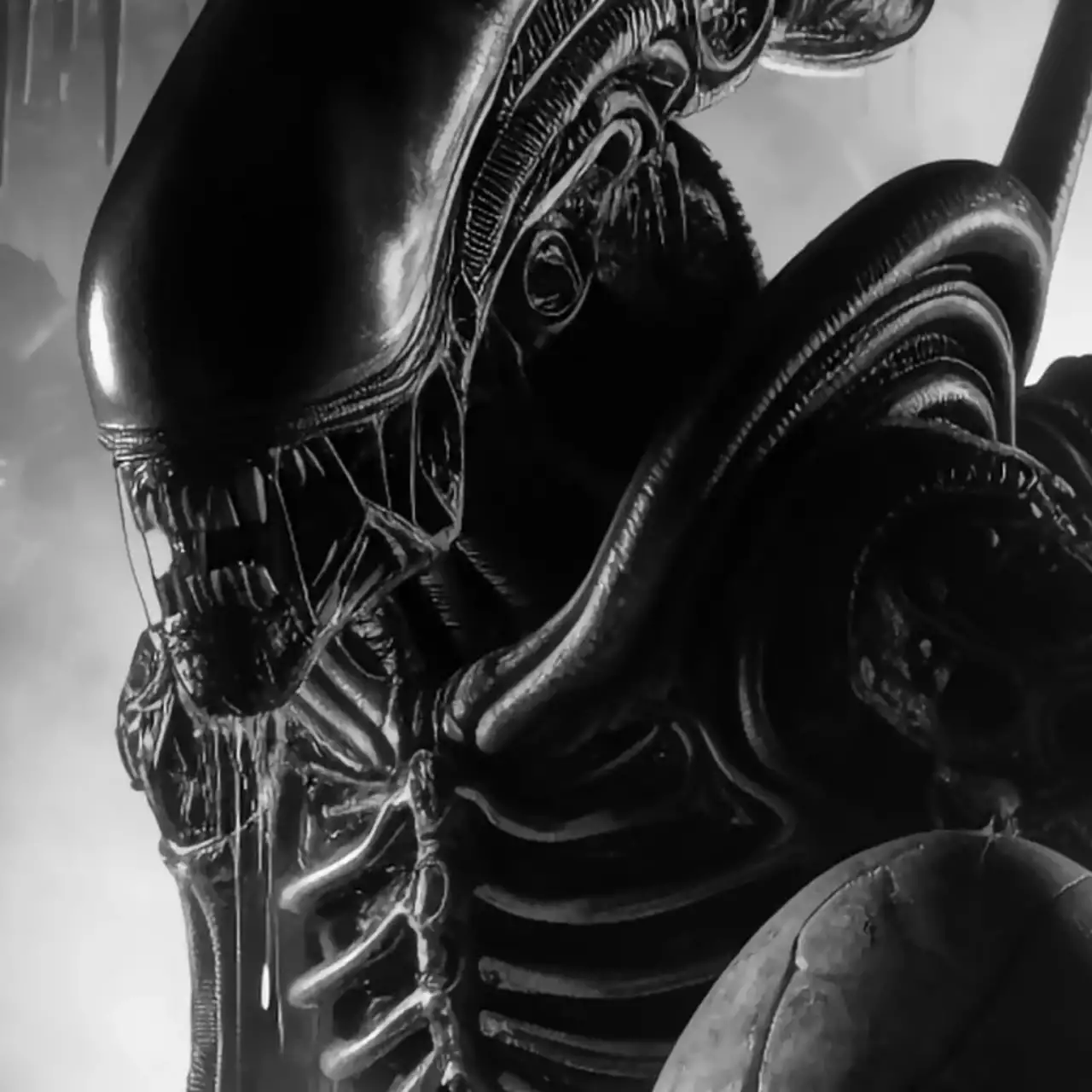 New single-player Alien game announced New single-player Alien game announced