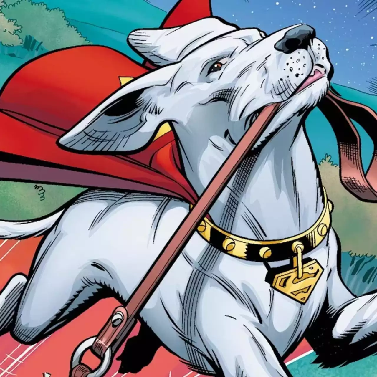 Director of the New Superman Film Reveals Superdog Krypto for the First Time Director of the New Superman Film Reveals Superdog Krypto for the First Time