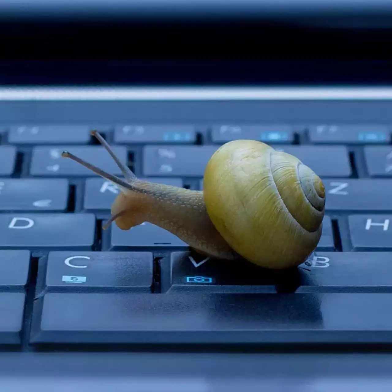 Optimización de Windows 10 y Windows 11: cómo acelerar el sistema
