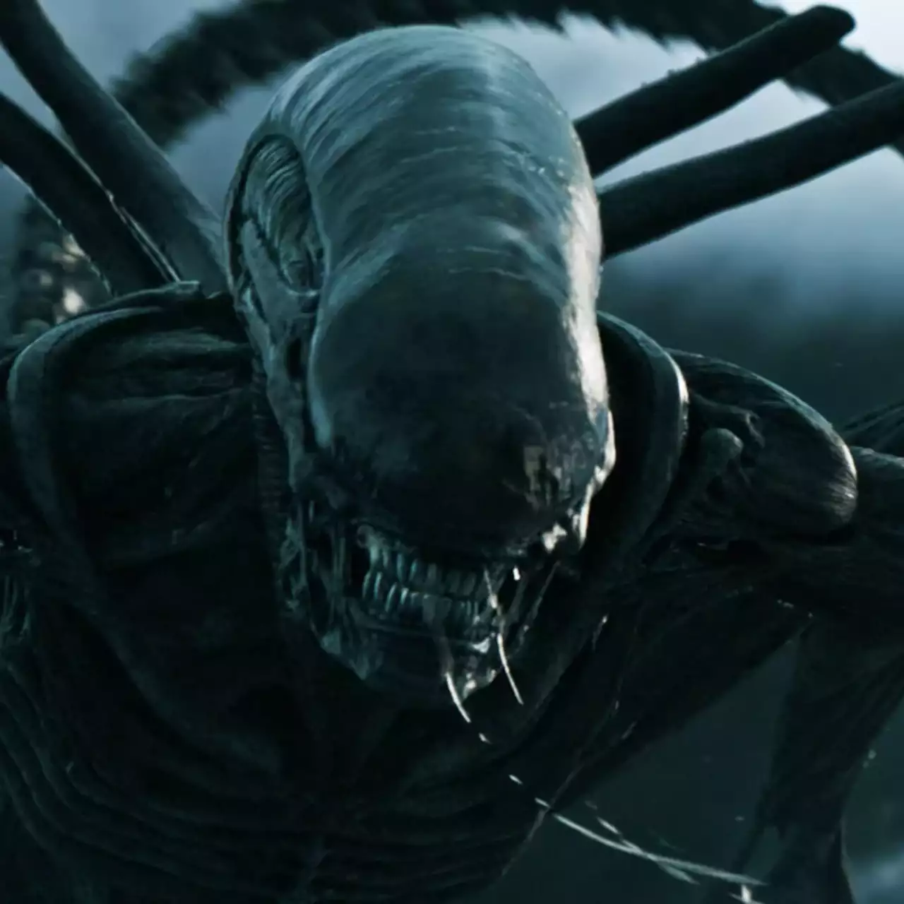Ridley Scott is working on a new Alien film